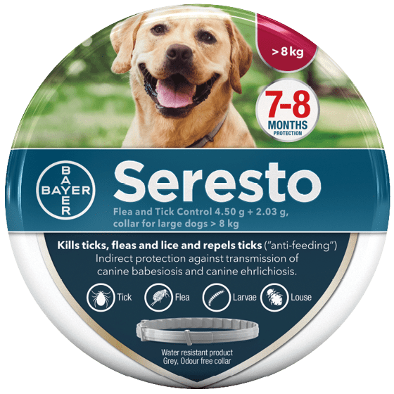Is My Seresto Collar Fake? My Pet and I